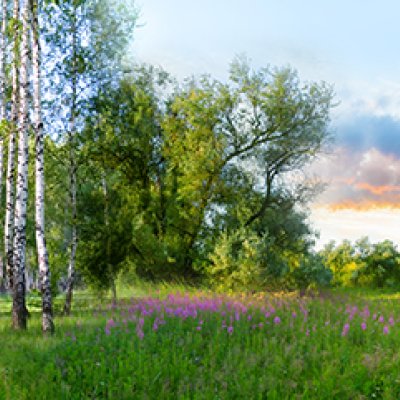 фотообои Панорамный пейзаж